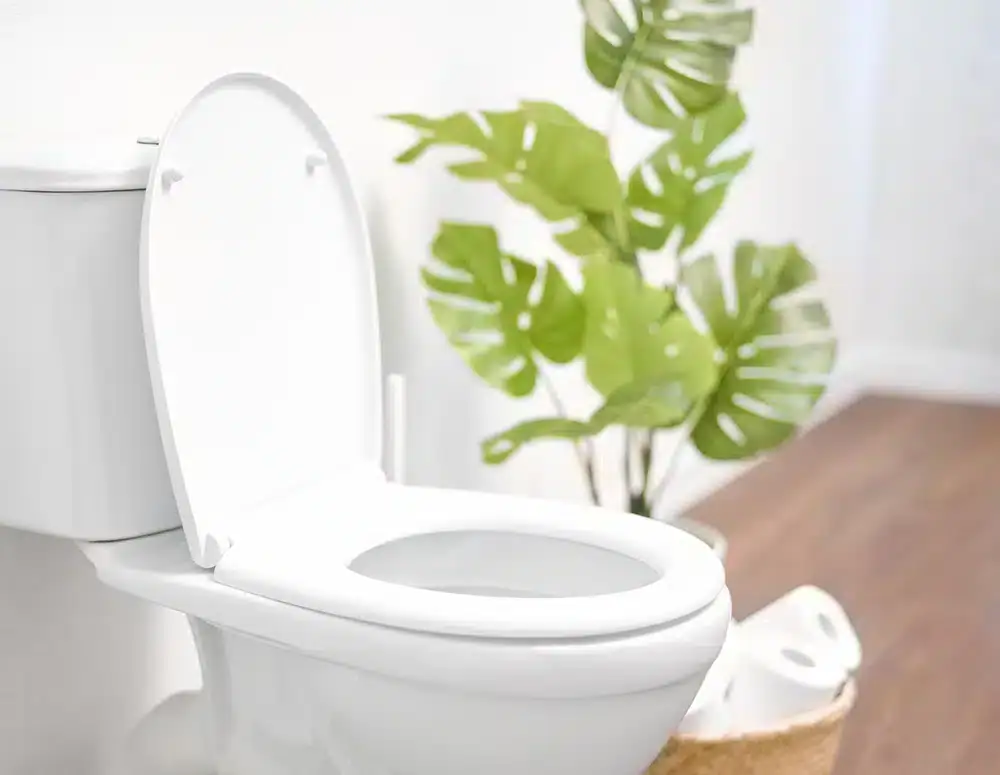 A clean white toilet with the lid open sits next to a green potted plant and a basket of toilet paper rolls on a wooden floor in a bright bathroom—perfect comfort after expert AC Installation North Attleboro has ensured your home stays cool.