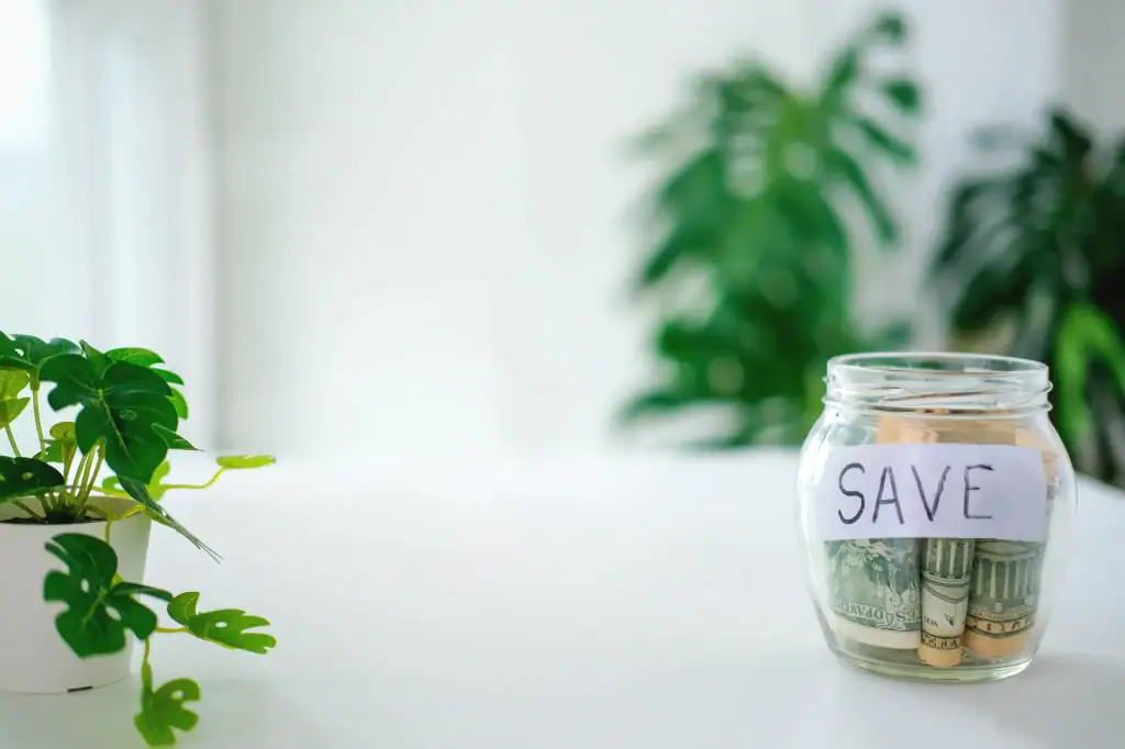 A glass jar labeled "SAVE" filled with rolled-up cash sits on a white surface next to a small potted plant, with green leafy plants in the blurred background.